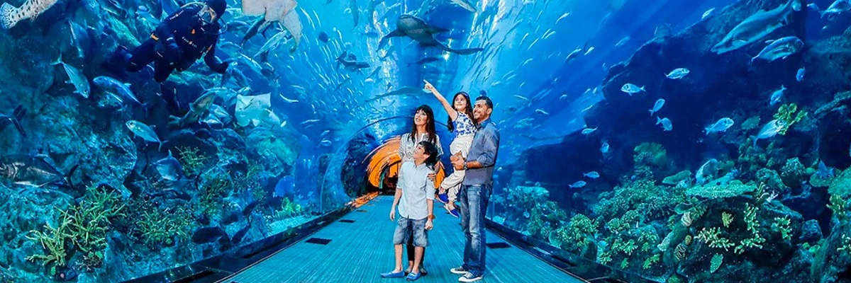 Laguna Water Park and Dubai Aquarium and Underwater Zoo